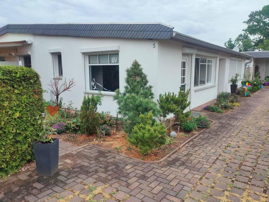 Ferienwohnung-Elbe – Außenansicht